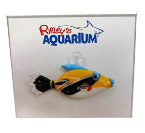 Triggerfish Glass Ornament