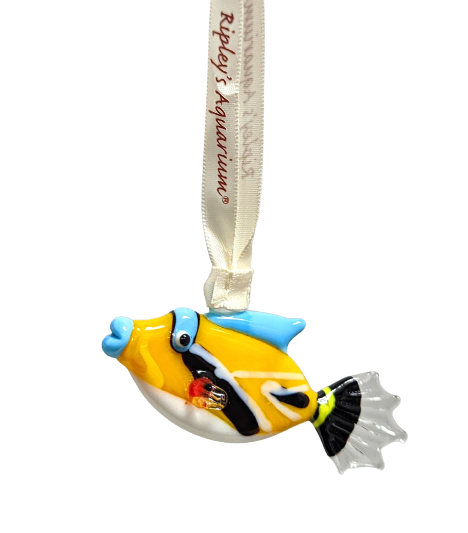 Triggerfish Glass Ornament