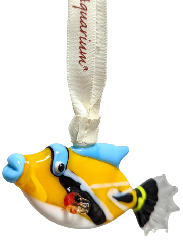 Triggerfish Glass Ornament