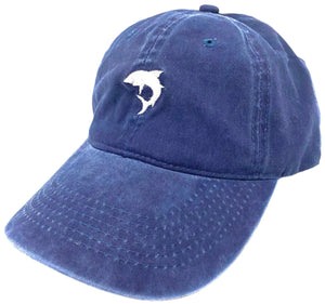 Shark Icon Hat